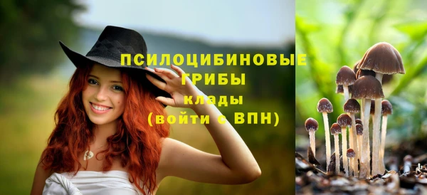 кокс Новодвинск
