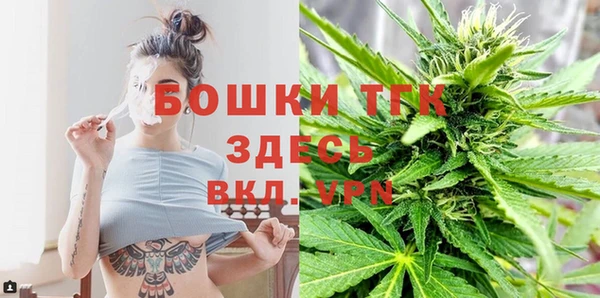 ALPHA PVP Новозыбков