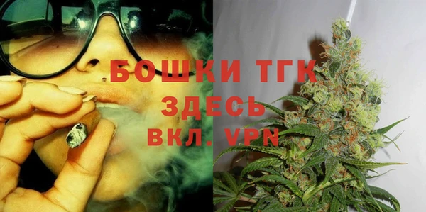 ALPHA PVP Новозыбков